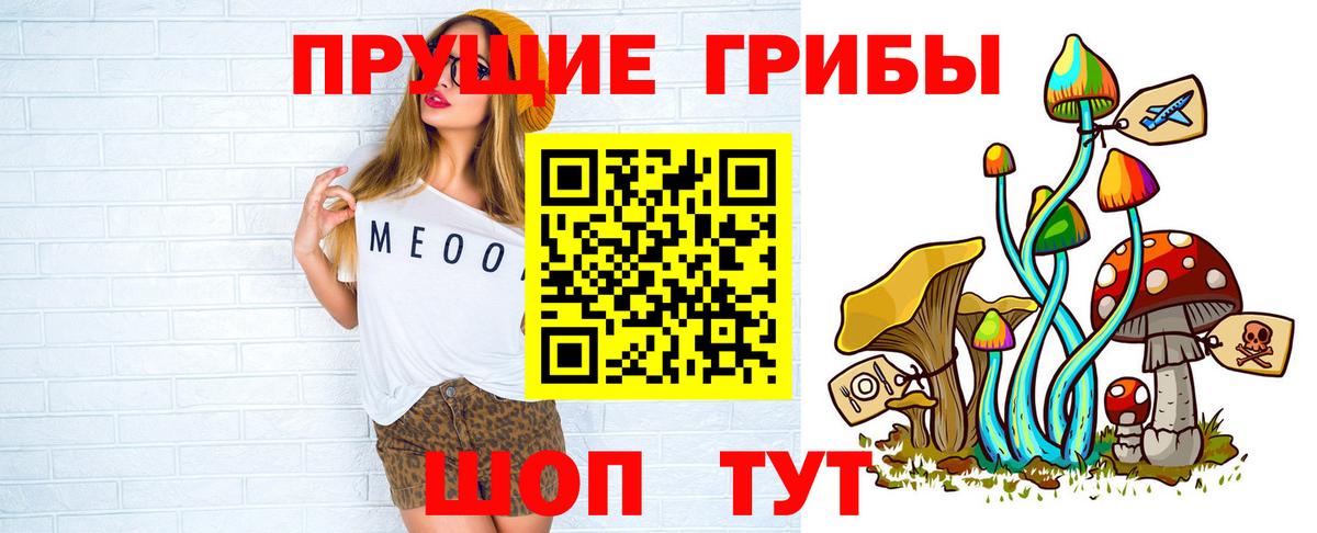 Балтийск  Галлюциногенные грибы GOLDEN TEACHER  Псилоцибиновые грибы прущие грибы  Вход с VPN 