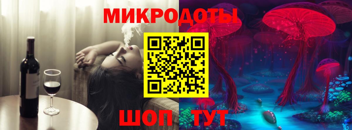 Псилоцибиновые грибы Psilocybe Балтийск