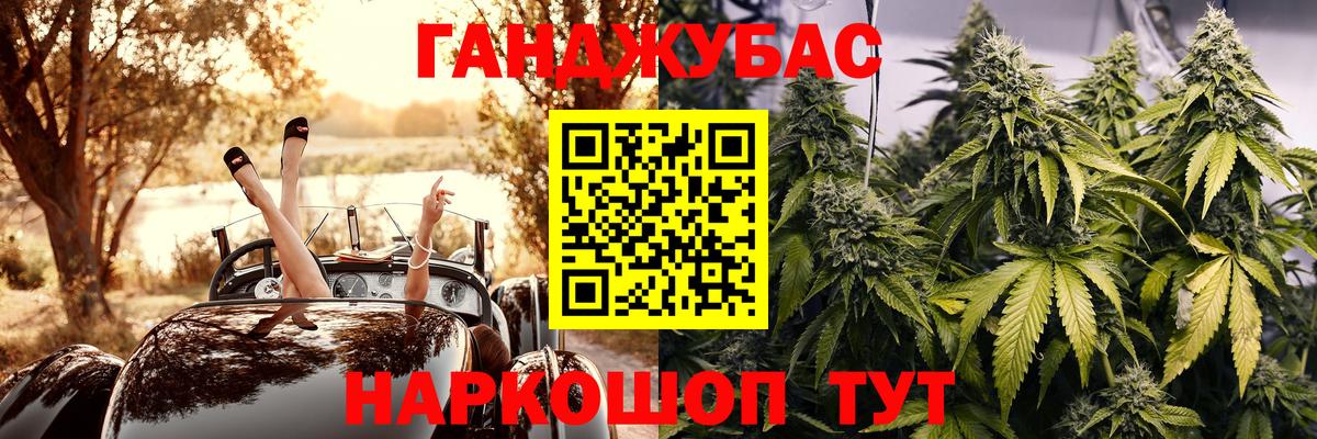 Каннабис планчик Балтийск